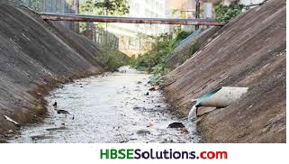 Haryana Board 8th Class Science Solutions Chapter 18 Pollution of Air and Water 1