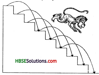 HBSE 7th Class Maths Solutions Chapter 1 Integers Ex 1.1 4
