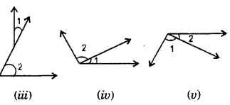HBSE 7th Class Maths Solutions Chapter 5 Lines and Angles InText Questions 5