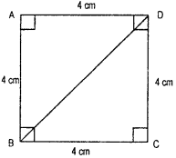 HBSE 7th Class Maths Solutions Chapter 7 Congruence of Triangles Ex 7.2 10