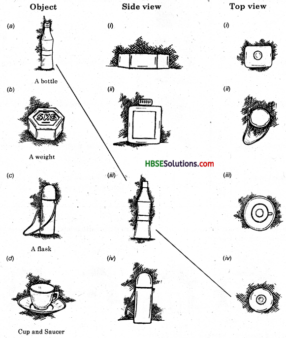 HBSE 8th Class Maths Solutions Chapter 10 Visualizing Solid Shapes Ex 10.1 1