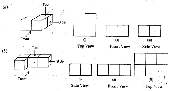 HBSE 8th Class Maths Solutions Chapter 10 Visualizing Solid Shapes Ex 10.1 11