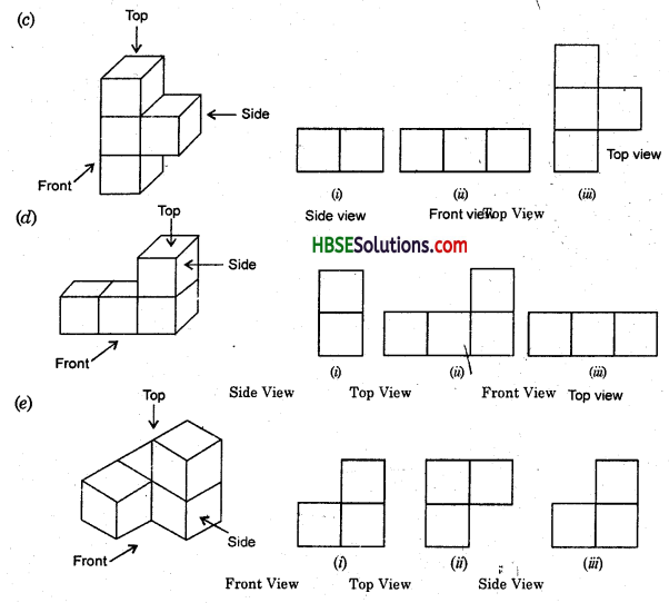 HBSE 8th Class Maths Solutions Chapter 10 Visualizing Solid Shapes Ex 10.1 12
