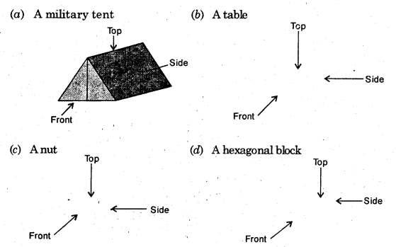 HBSE 8th Class Maths Solutions Chapter 10 Visualizing Solid Shapes Ex 10.1 13