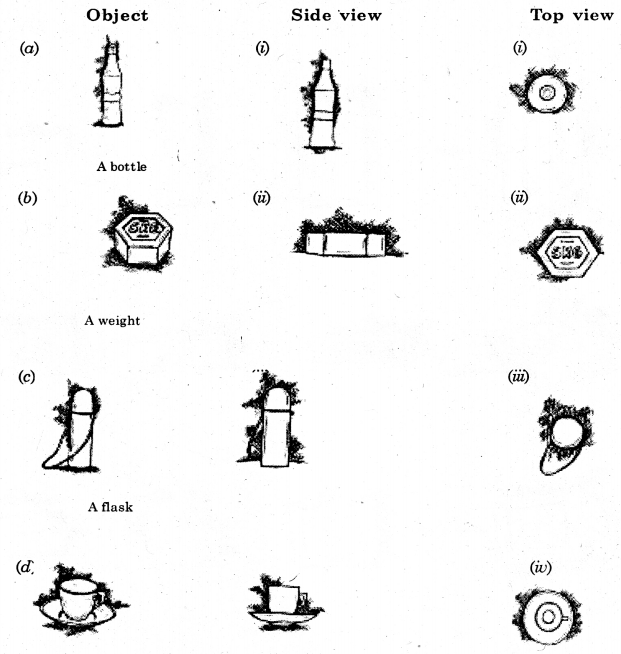 HBSE 8th Class Maths Solutions Chapter 10 Visualizing Solid Shapes Ex 10.1 3