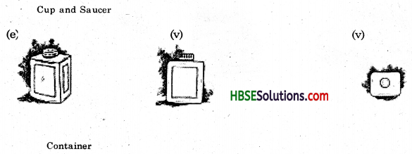 HBSE 8th Class Maths Solutions Chapter 10 Visualizing Solid Shapes Ex 10.1 4