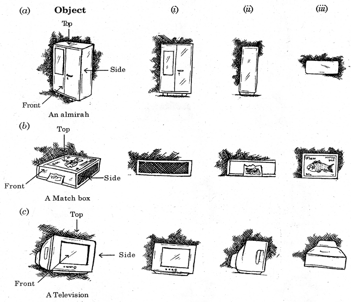 HBSE 8th Class Maths Solutions Chapter 10 Visualizing Solid Shapes Ex 10.1 5