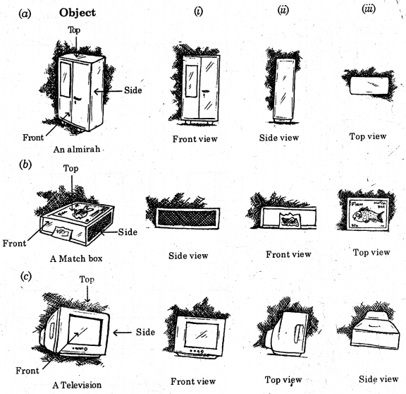 HBSE 8th Class Maths Solutions Chapter 10 Visualizing Solid Shapes Ex 10.1 7