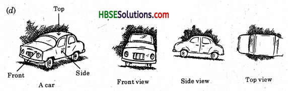 HBSE 8th Class Maths Solutions Chapter 10 Visualizing Solid Shapes Ex 10.1 8