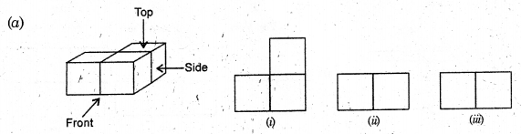 HBSE 8th Class Maths Solutions Chapter 10 Visualizing Solid Shapes Ex 10.1 9