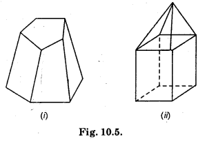HBSE 8th Class Maths Solutions Chapter 10 Visualizing Solid Shapes Ex 10.3 2