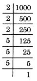 HBSE 8th Class Maths Solutions Chapter 6 Square and Square Roots Ex 6.4 19