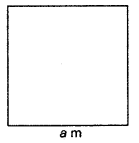 HBSE 6th Class Maths Solutions Chapter 10 Mensuration Ex 10.1 11