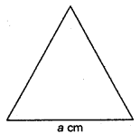 HBSE 6th Class Maths Solutions Chapter 10 Mensuration Ex 10.1 13
