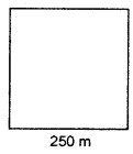 HBSE 6th Class Maths Solutions Chapter 10 Mensuration Ex 10.1 16