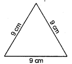 HBSE 6th Class Maths Solutions Chapter 10 Mensuration Ex 10.1 7