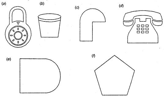 HBSE 6th Class Maths Solutions Chapter 13 Symmetry Ex 13.1 2