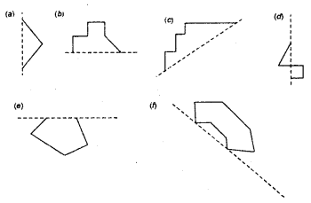 HBSE 6th Class Maths Solutions Chapter 13 Symmetry Ex 13.1 3