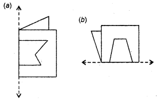 HBSE 6th Class Maths Solutions Chapter 13 Symmetry Ex 13.2 13