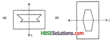 HBSE 6th Class Maths Solutions Chapter 13 Symmetry Ex 13.2 14