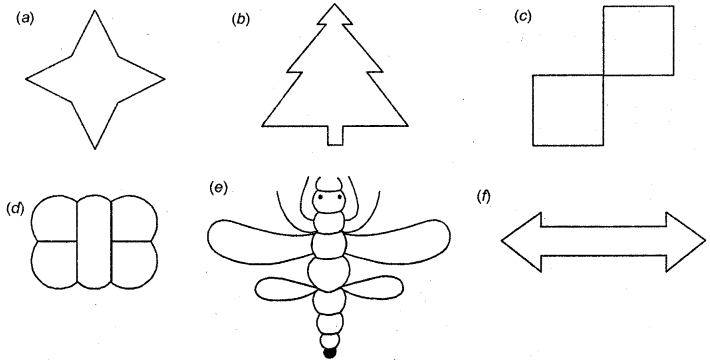 HBSE 6th Class Maths Solutions Chapter 13 Symmetry Ex 13.3 1