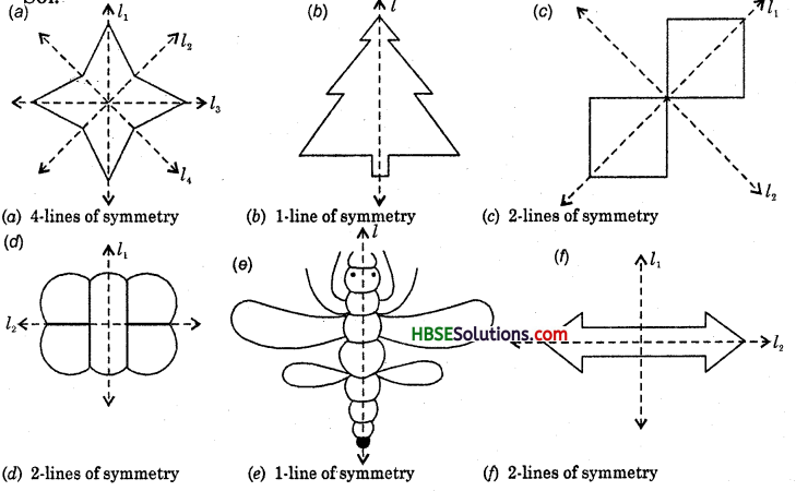 HBSE 6th Class Maths Solutions Chapter 13 Symmetry Ex 13.3 2