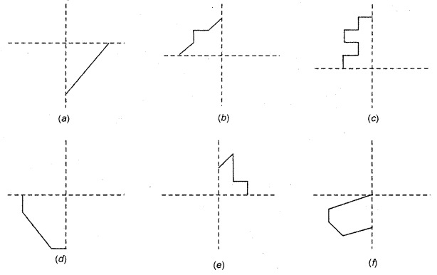 HBSE 6th Class Maths Solutions Chapter 13 Symmetry Ex 13.3 3