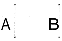 HBSE 6th Class Maths Solutions Chapter 13 Symmetry Ex 13.3 5