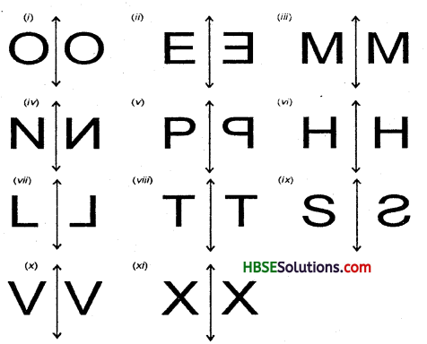 HBSE 6th Class Maths Solutions Chapter 13 Symmetry Ex 13.3 6