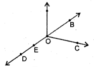 HBSE 6th Class Maths Solutions Chapter 4 Basic Geometrical Ideas Ex 4.1 1