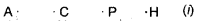 HBSE 6th Class Maths Solutions Chapter 4 Basic Geometrical Ideas InText Questions 1