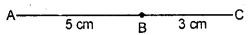 HBSE 6th Class Maths Solutions Chapter 5 Understanding Elementary Shapes Ex 5.1 3