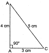 HBSE 6th Class Maths Solutions Chapter 5 Understanding Elementary Shapes Ex 5.1 9