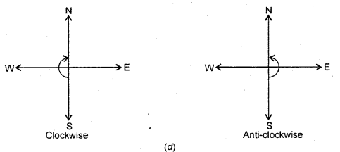 HBSE 6th Class Maths Solutions Chapter 5 Understanding Elementary Shapes Ex 5.2 12
