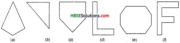 HBSE 6th Class Maths Solutions Chapter 5 Understanding Elementary Shapes Ex 5.8 2
