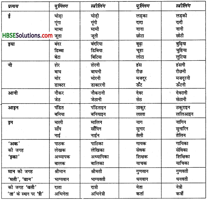 HBSE 7th Class Hindi Vyakaran संज्ञा के विकार-1