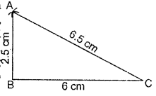 HBSE 7th Class Maths Solutions Chapter 10 Practical Geometry Ex 10.2 4