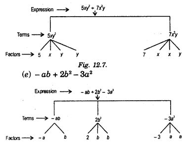 HBSE 7th Class Maths Solutions Chapter 12 Algebraic Expressions Ex 12 (2)