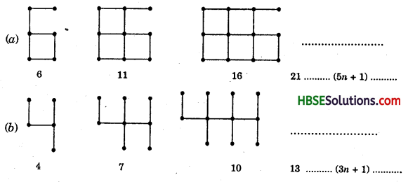 HBSE 7th Class Maths Solutions Chapter 12 Algebraic Expressions Ex 12.4 1