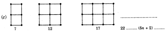 HBSE 7th Class Maths Solutions Chapter 12 Algebraic Expressions Ex 12.4 2