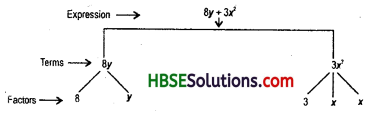 HBSE 7th Class Maths Solutions Chapter 12 Algebraic Expressions InText Questions 1