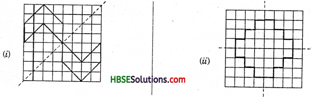 HBSE 7th Class Maths Solutions Chapter 14 Symmetry Ex 14.1 15