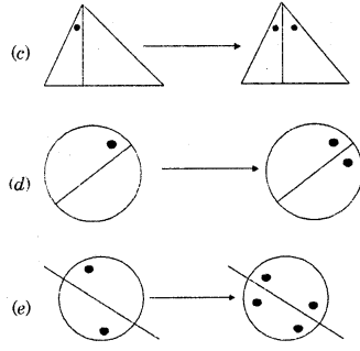 HBSE 7th Class Maths Solutions Chapter 14 Symmetry Ex 14.1 4