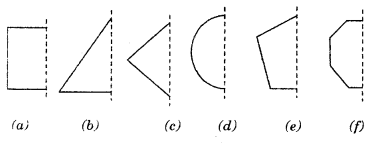 HBSE 7th Class Maths Solutions Chapter 14 Symmetry Ex 14.1 5