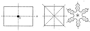 HBSE 7th Class Maths Solutions Chapter 14 Symmetry Ex 14.1 8