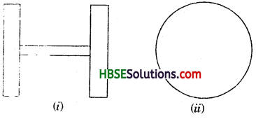 HBSE 7th Class Maths Solutions Chapter 14 Symmetry Ex 14.3 1