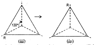 HBSE 7th Class Maths Solutions Chapter 14 Symmetry InText Questions 2