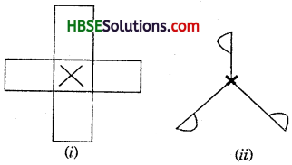 HBSE 7th Class Maths Solutions Chapter 14 Symmetry InText Questions 5