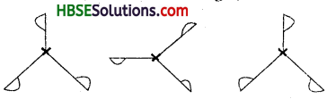 HBSE 7th Class Maths Solutions Chapter 14 Symmetry InText Questions 8
