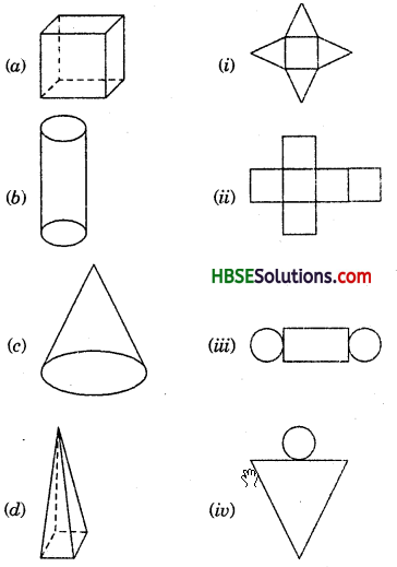 HBSE 7th Class Maths Solutions Chapter 15 Visualising Solid Shapes Ex 15.1 10